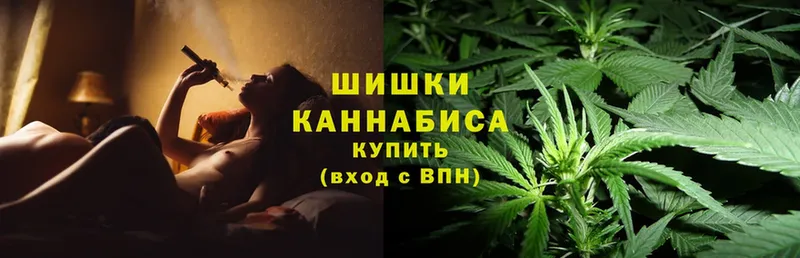 даркнет Telegram  Уржум  МАРИХУАНА SATIVA & INDICA 